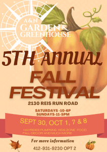 Read more about the article The A&N Lawn Service Fall Festival is in Full Swing. Get Your Fall Plants and Pumpkins Today!