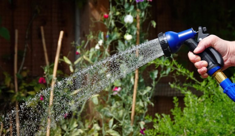 Read more about the article Tips for Gardens During Droughts