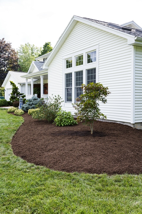 Read more about the article How to Landscape Around Trees