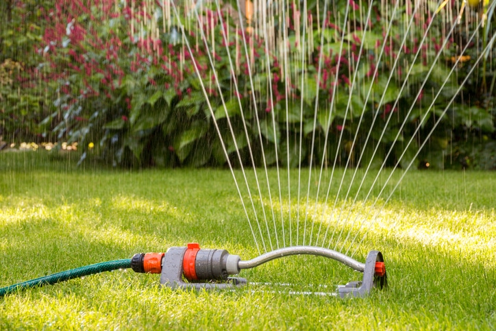 You are currently viewing How to Keep a Healthy Lawn in Extreme Heat