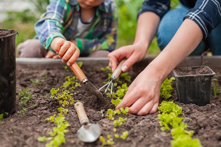 Read more about the article Preparing Your Yard and Garden for Spring